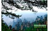 【純玩獨立成團(tuán)線路1】張家界、袁家界、天子山、寶峰湖/黃龍洞二晚三日