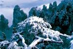 【純玩散拼線路17】張家界、天子山、芙蓉鎮(zhèn)、猛洞河漂流、鳳凰古城三晚四日游