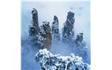 天子山五指峰